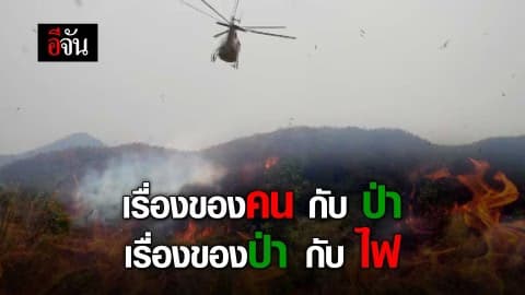 เรื่องของคนกับป่า…เรื่องของป่า กับ ไฟ