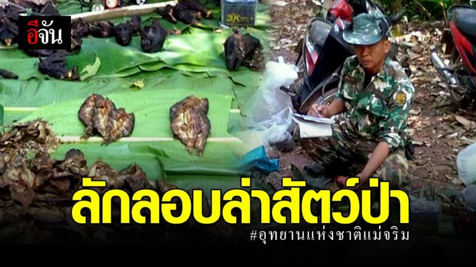 จนท.อุทยาน ตรวจยึดซากสัตว์ป่า ในเขตอุทยานแห่งชาติแม่จริม