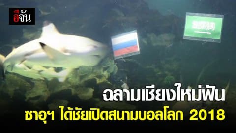 ปลาฉลามเชียงใหม่ เสี่ยงทายผล ซาอุฯ ปะทะ รัสเซีย คู่เปิดสนามบอลโลก 2018