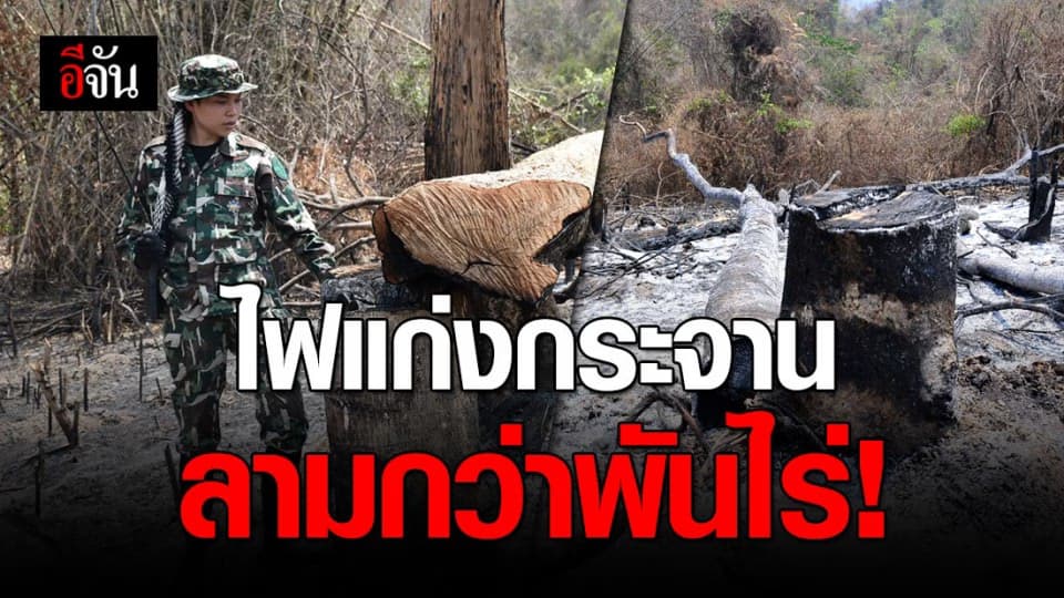 ไฟป่าแก่งกระจาน เสียหายกว่า 1,541 ไร่