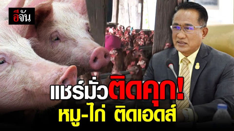 หยุดแชร์มั่วหมูไก่ติดเอดส์