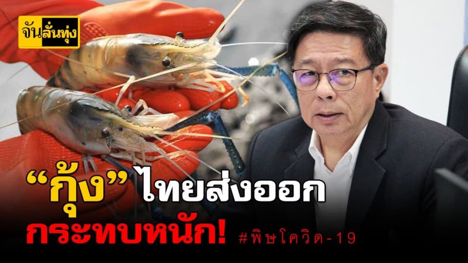 หาทางรอดผู้เลี้ยงกุ้ง