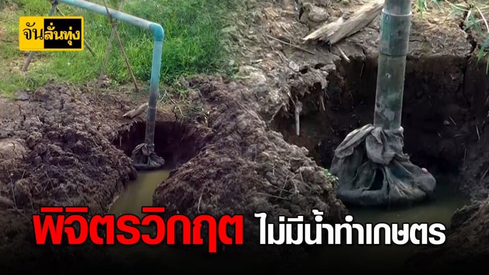 พิจิตรแล้งหนัก น้ำในคลองแห้งขอด เกษตรกรสวนส้มโอเสียหายหลายร้อยไร่