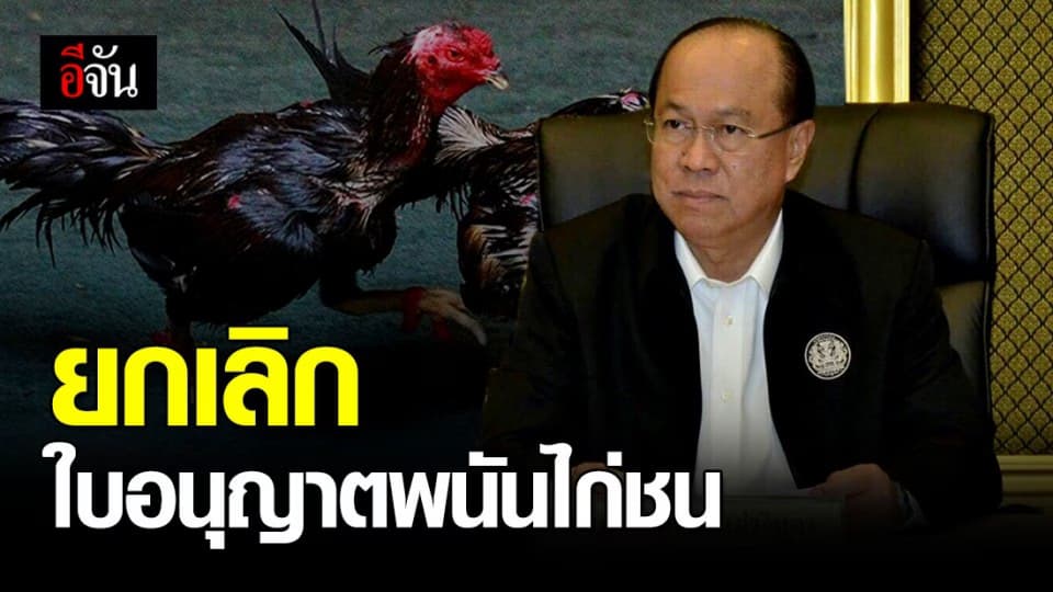 รัฐมนตรี มท. สั่ง ยกเลิกใบอนุญาตพนันไก่ชน เลี่ยงการรวมตัวของประชาชน