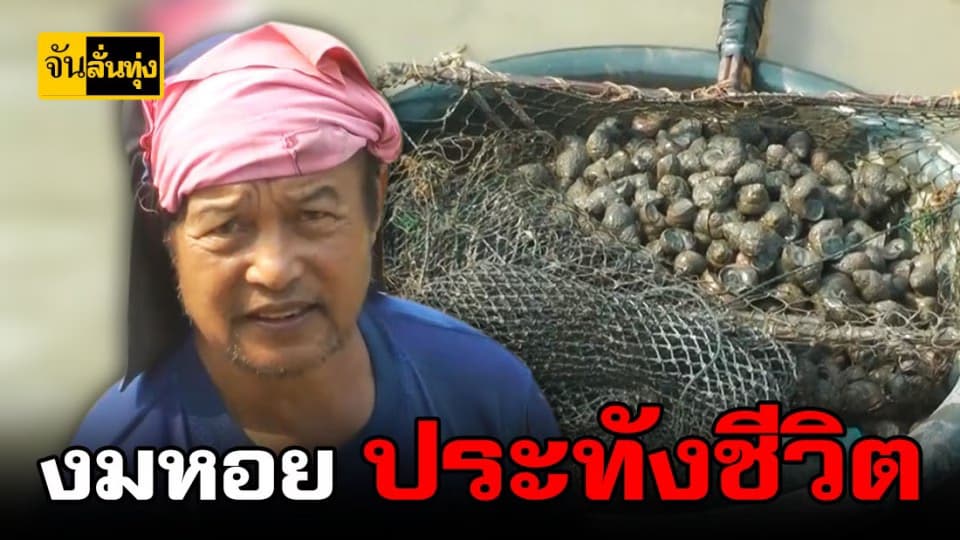 ชาวบ้านพลิกวิกฤตให้เป็นโอกาส งมหอยประทังชีวิต