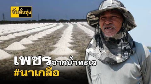 เพชรจากน้ำทะเล #นาเกลือ