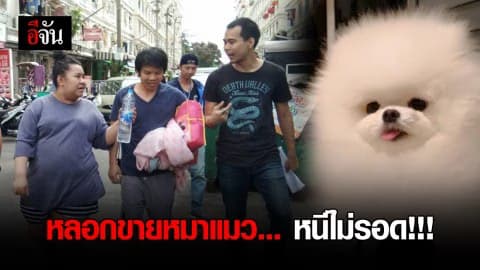 หลอกขายหมาแมว… หนีไม่รอด!!!