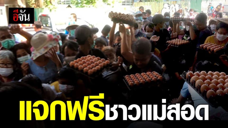ชาวแม่สอดแห่แย่งไข่กว่า 5 พันฟองหลังพ่อค้าใจบุญแจกสู้โควิด-19