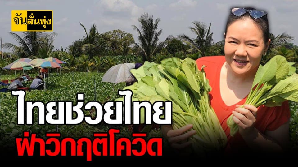 พลังโซเชียลฯ ช่วยเกษตรกรฝ่าวิกฤตโควิด-19