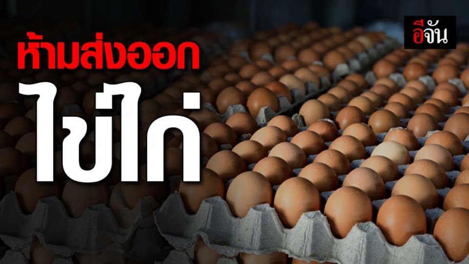 เอาจริง! จุรินทร์ ประกาศห้ามส่งออกไข่ – ใครขายแพงเจอคุก 7 ปี