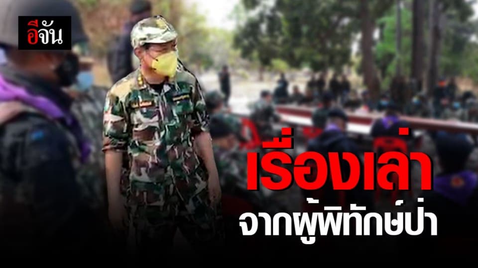 ผู้พิทักษ์ป่า กับการปกป้องต้นไม้ของประเทศไทย