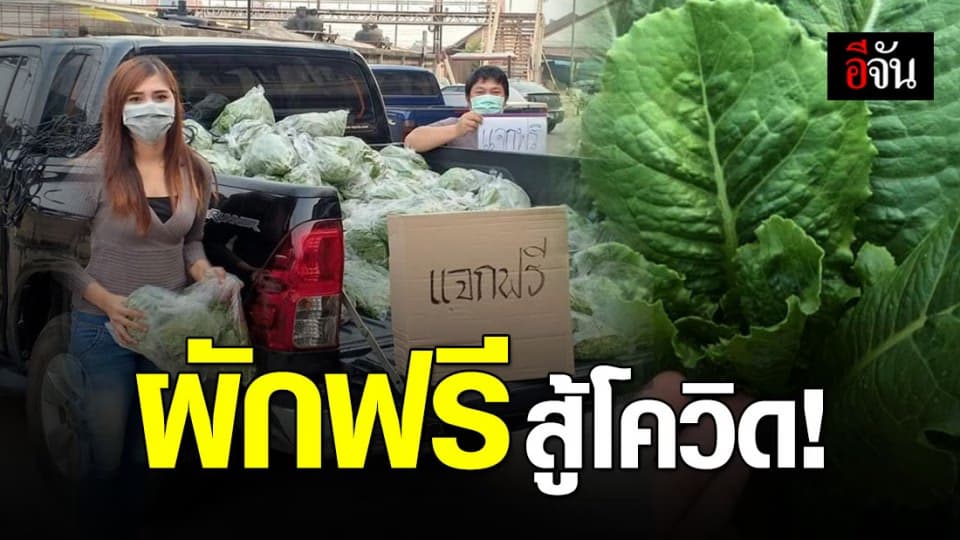 น้ำใจไม่เหือดแห้ง เจ้าของสวนที่พิษณุโลก แจกผักฟรี ร่วมสู้โควิด-19