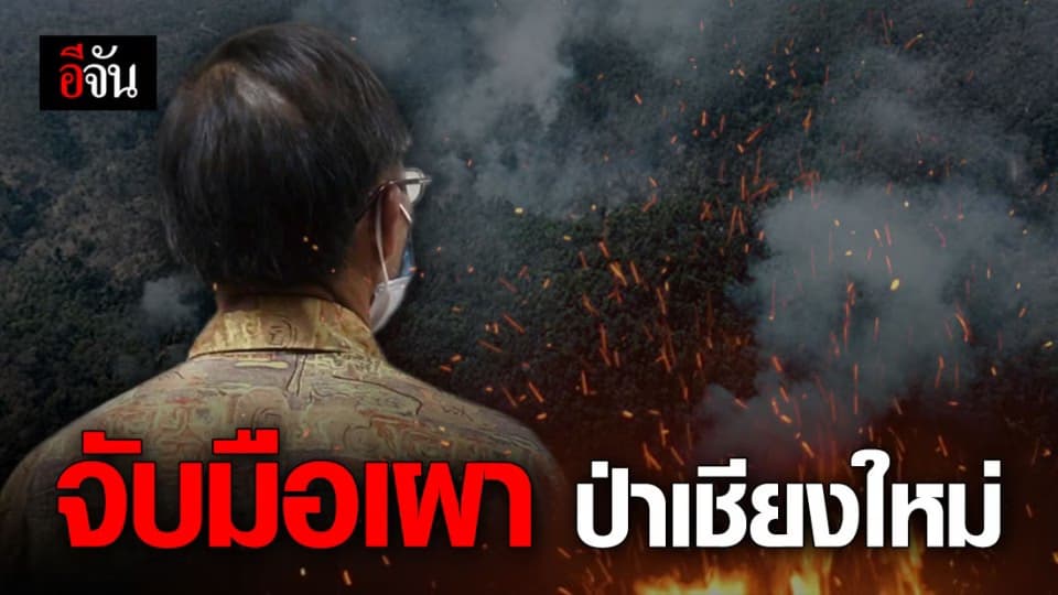 จับมือเผาป่า ต้นเหตุที่ทำให้ดอยสุเทพลุกเป็นไฟ!