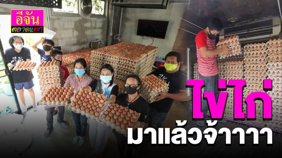 ไข่ไก่สด ราคาต้นทุนจากฟาร์มไข่ไก่โดยตรง พร้อมขายกับรถอีจันพุ่มพวงแล้วจ้า