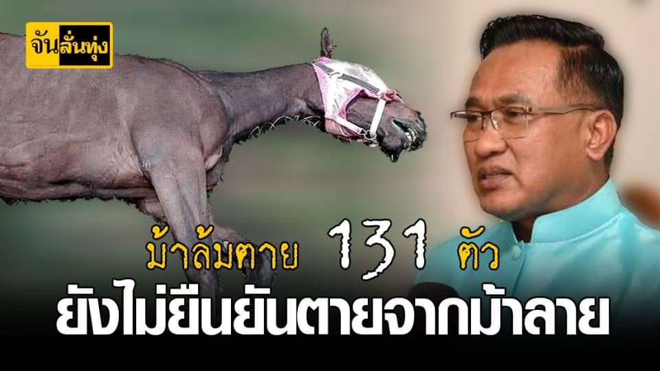 สาเหตุม้าตาย ! เป็นโรคอุบัติใหม่ยังไม่เคยเกิดขึ้นในไทย