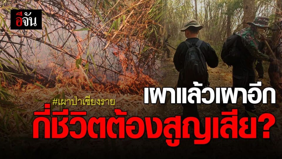 กรมป่าไม้ ยันเอาผิดคนเผาป่า หลังจิตอาสาช่วยดับไฟป่าเสียชีวิต 4 ราย