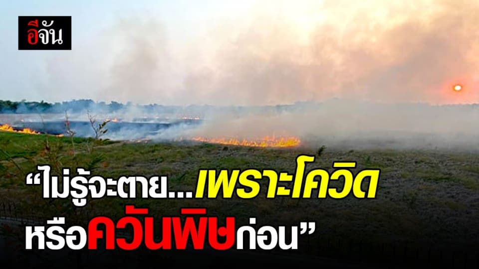 สาวตัดพ้อ ไม่รู้จะตายเพราะโควิดหรือควันก่อน หลังมีคนเผาหญ้าได้รับผลกระทบ