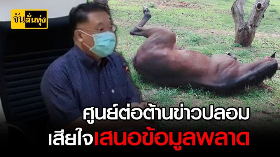 ม้าตายเฉียบพลันเพราะกาฬโรคม้าระบาด ไม่ใช่ข่าวลอม!