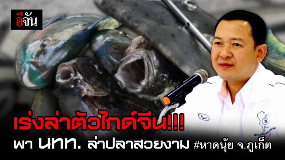 เร่งล่า ไกด์ – นทท. แสบ ลอบล่าปลาสวยงาม หาดนุ้ย จ.ภูเก็ต