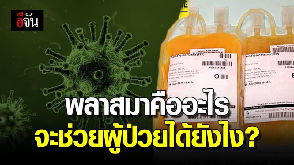 เปิดข้อมูลพลาสมา ใช้ทำเซรุ่มช่วยชีวิตเพื่อนมนุษย์