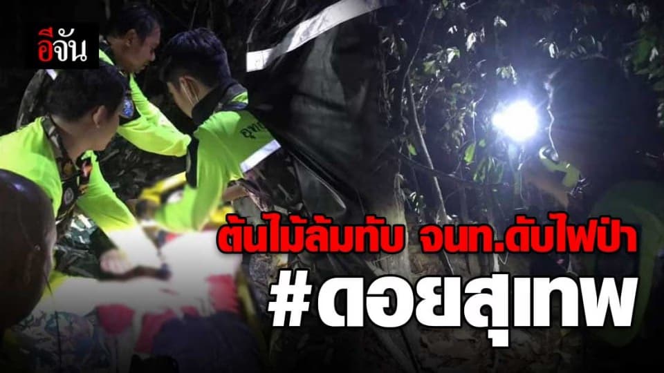 เจ้าหน้าดับไฟป่า ต้องบาดเจ็บอีกกี่คน?