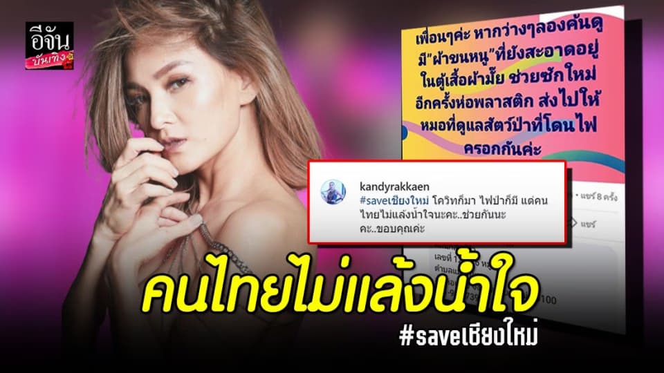 “แคนดี้ รากแก่น” โพสต์ขอ “ผ้าขนหนู” นำไปช่วยเหลือสัตว์ป่าที่โดนไฟคลอก จ.เชียงใหม่