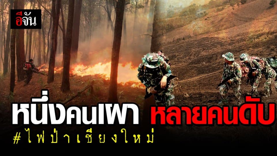 ตอนนี้ไม่ใช่แค่ป่าที่บอบช้ำ แต่ผู้คนก็บอบช้ำไม่แพ้กัน