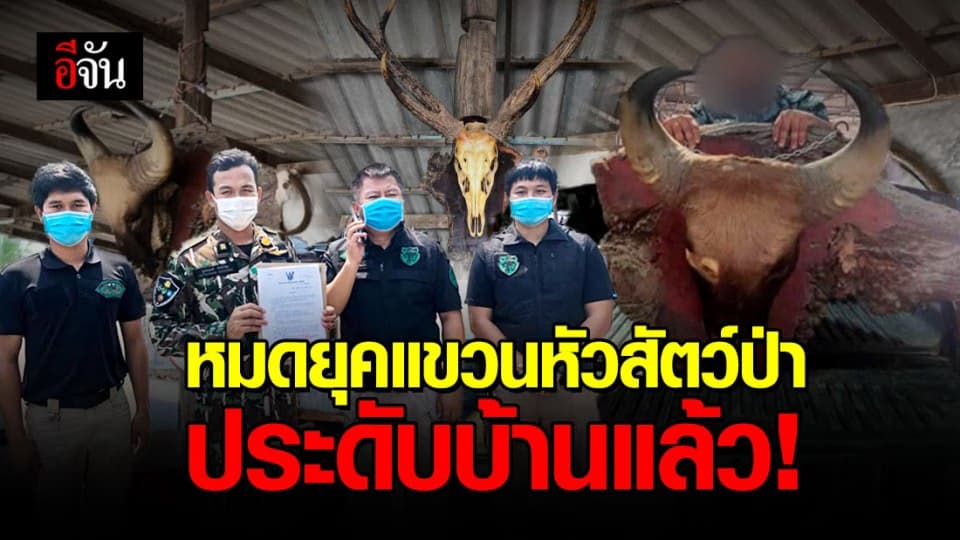 หน.หน่วยพญาเสือ นำทีมบุกจับผู้ค้าซากสัตว์ป่าออนไลน์