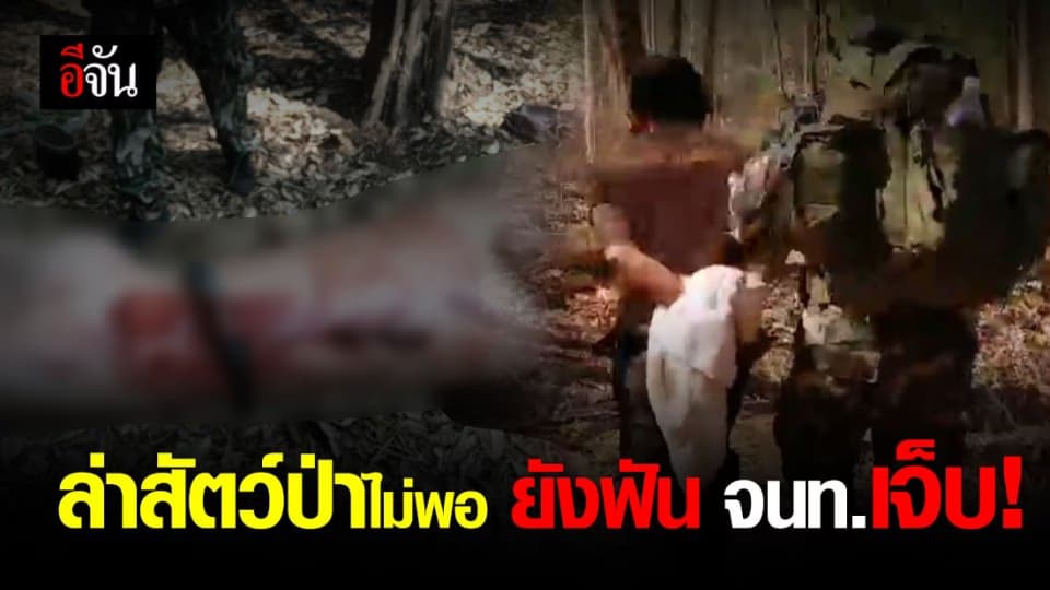 จนท.ขสป.สลักพระ โดนพรานป่าฟันเจ็บ หลังพยายามเข้าจับกุมลักลอบล่าสัตว์