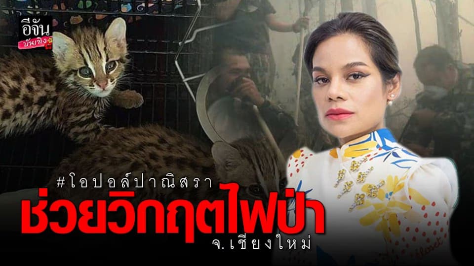 “โอปอล์” ระดมทุน ชักชวน ช่วยวิกฤตไฟป่า จ.เชียงใหม่