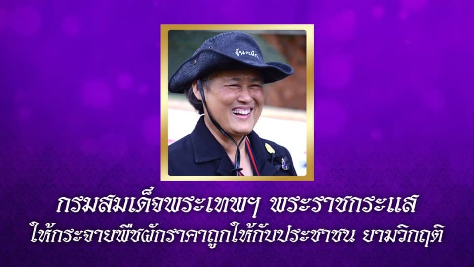 กรมสมเด็จพระเทพฯ พระราชกระแสให้ มูลนิธิชัยพัฒนา ผลิตพืชผักราคาถูกกระจายให้กับประชาชน