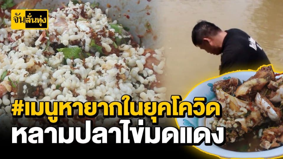 เปิดเมนูอาหารป่าช่วงหน้าแล้ง หลามปลาไข่มดแดง เมนูเด็ดห่างไกลเชื้อไวรัสโควิด