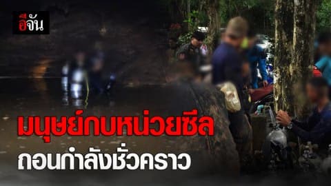 มนุษย์กบหน่วยซีลจากฐานทัพเรือสัตหีบชุดแรก ถอนกำลังออกจากจุดค้นหาชั่วคราว