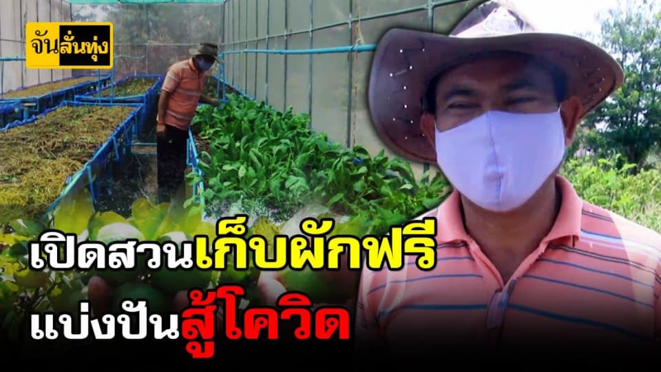 ผู้ใหญ่บ้านเปิดสวนผัก ช่วยลูกบ้านในยามวิกฤติโควิด-19