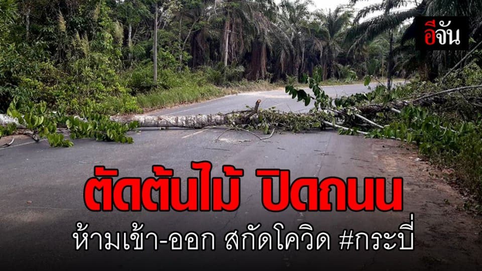 ผู้ใหญ่บ้าน นำต้นปาล์ม ต้นไม้ วางปิดเส้นทางลัดไม่ให้ประชาชนใช้ป้องกันโควิด