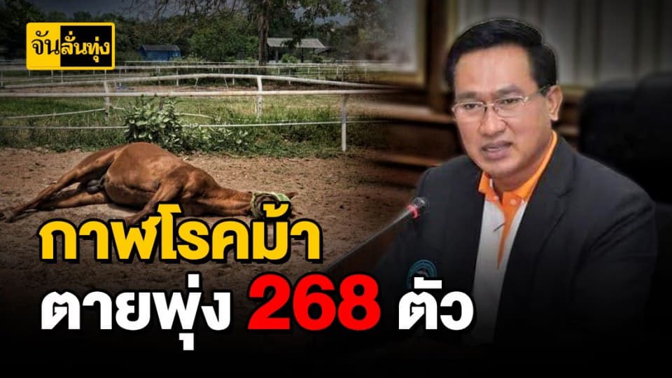 วันที่ 10 เม.ย. 63  ล่าสุดกาฬโรคม้าตายรวม 268 ตัว