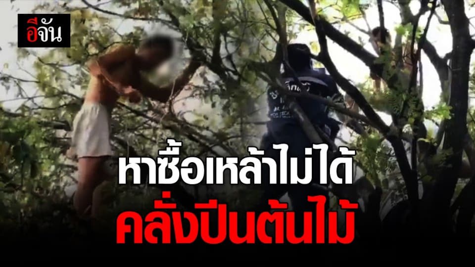 ชาย 35 ปี คลั่งปีนต้นไม้สูง 6 เมตร หลังขาดเหล้าหาซื้อไม่ได้