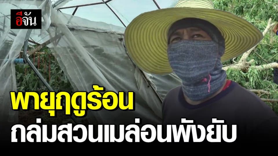 สวนเมล่อนเกษตรกร อ.จักราช โคราช เสียหายนับแสนบาท หลังโดนพายุฤดูร้อนพัดถล่ม
