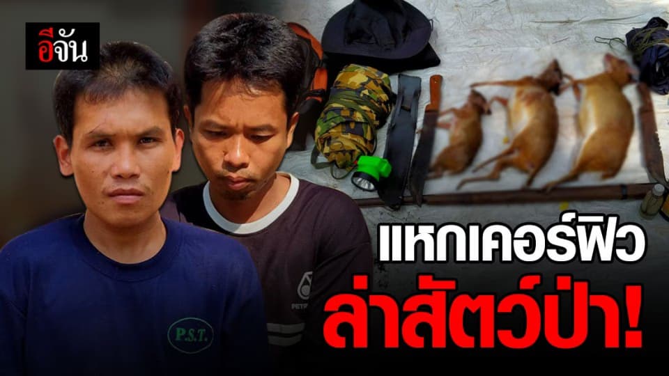 จับชาวไทย 2 ราย แหกกฎเคอร์ฟิว ออกล่าสัตว์ป่าใน ขสป.ห้วยทับทัน-ห้วยสำราญ จ.สุรินทร์