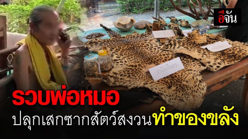 พ่อหมอเกมแล้ว พญาเสือฯ รวบคาสำนัก นำซากสัตว์สงวนทำของขลัง ขายออนไลน์