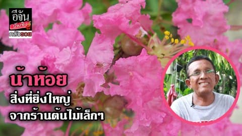 ซีรีย์กลัวรวย ตอน สิ่งที่ยิ่งใหญ่จากร้านต้นไม้เล็ก ๆ