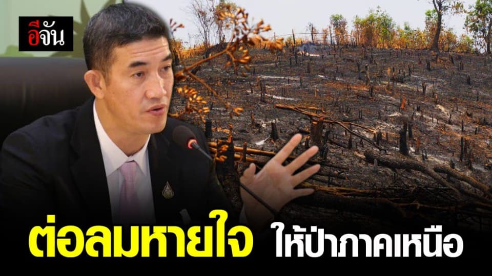 ทส. เตรียมปลูกกล้าฟื้นฟูป่าภาคเหนือ ดีเดย์ 21 พ.ค. 63 วันต้นไม้ของชาติ