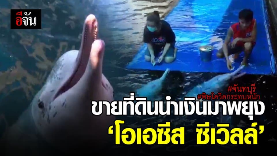 พิษโควิด-19!!! ปิดโอเอซีส ซีเวิลล์สถานที่แสดงปลาโลมาโชว์ ชื่อดัง จ.จันทุบรี