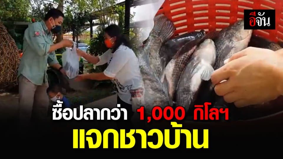 เสี่ยเต้นท์รถเมืองอุบลฯ ควักกระเป๋าซื้อปลานิลแจกชาวบ้านกว่า 1,000 กก.