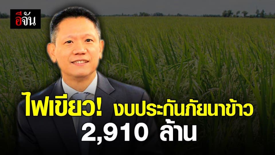 อนุมัติงบ 2,910 ล้านบาท! หนุนชาวนาทำประกันภัยข้าวนาปี ปีการผลิต 2563