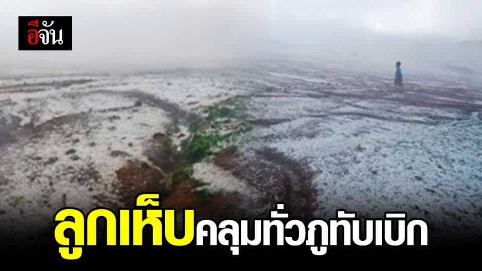 พายุลูกเห็บถล่มภูทับเบิก ขาวโพลนไปทั่วภูฯ