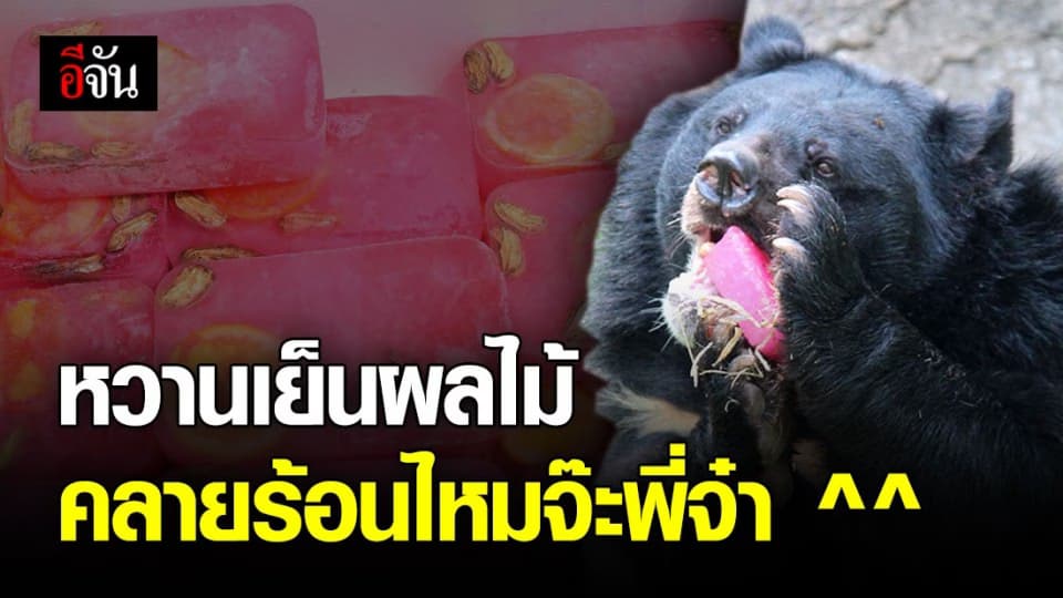 สวนสัตว์เปิดเขาเขียว แจกหวานเย็นผลไม้ คลายร้อนให้บรรดาสัตว์