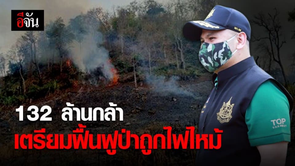 ทส.ร่วมกับหมู่บ้านเครือข่าย 802 หมู่บ้าน ร่วมฟื้นฟูป่าที่ถูกไฟไหม้