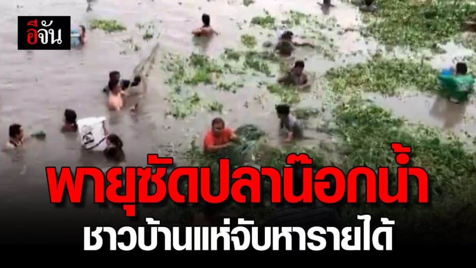 ชาว อ.สารภี นับร้อยคน แห่จับปลาน็อกน้ำ หลังพายุกระหน่ำ