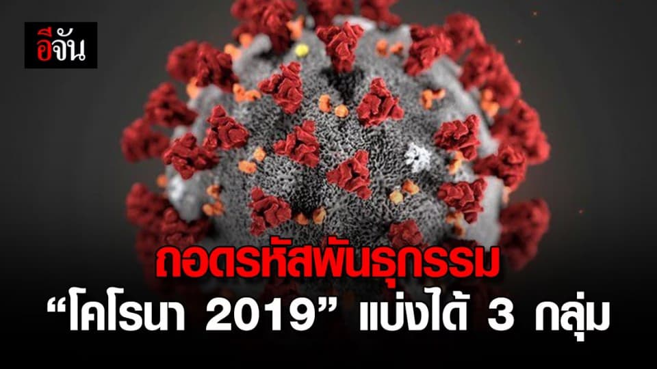 ไวรัสโคโรนา 2019 กลายพันธุ์ได้เป็น 3 กลุ่ม